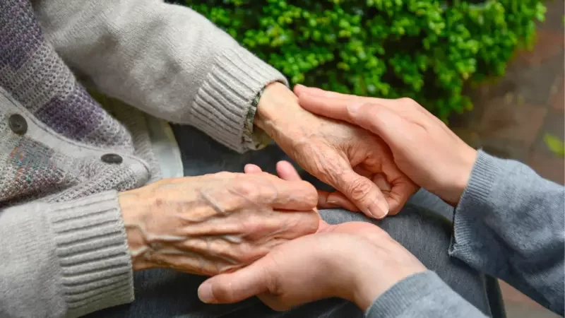 hands