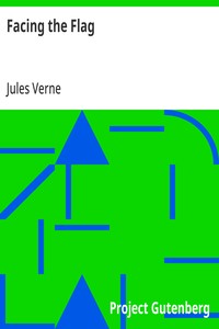 Cover of Facing the Flag by Jules Verne