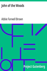 Cover of John of the Woods by Abbie Farwell Brown