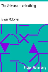 Cover of The Universe, or Nothing by Meyer Moldeven