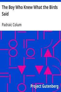 Cover of The Boy Who Knew What the Birds Said by Padraic Colum