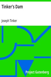 Cover of Tinker's Dam by Joseph Tinker
