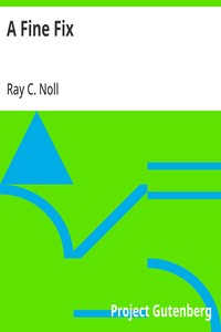 Cover of A Fine Fix by Ray C. Noll
