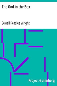 Cover of The God in the Box by Sewell Peaslee Wright
