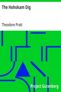 Cover of The Hohokam Dig by Theodore Pratt