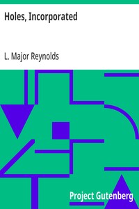 Cover of Holes, Incorporated by L. Major Reynolds