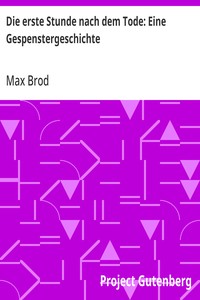 Cover of Die erste Stunde nach dem Tode: Eine Gespenstergeschichte by Max Brod