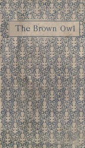 Cover of The Brown Owl: A Fairy Story by Ford Madox Ford