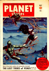 Cover of Land Beyond the Flame by Evelyn Goldstein