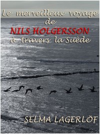 Cover of Le Merveilleux voyage de Nils Holgersson à travers la Suède by Selma Lagerlöf
