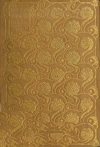 Cover of The End of Elfintown by Jane Barlow