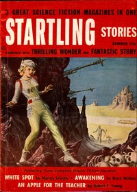 Cover of The angry house by Richard Rein Smith