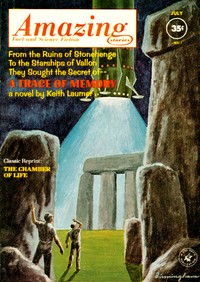 Cover of A prison make by William W. Stuart