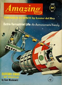 Cover of The warriors by Tom Purdom