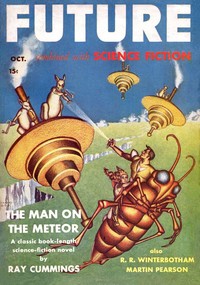 Cover of Forbidden flight by Chester Cohen