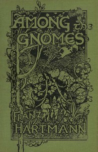 Cover of Among the gnomes by Franz Hartmann