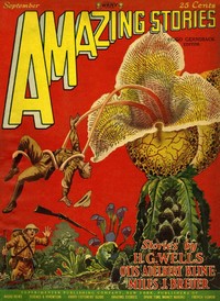 Cover of The radio ghost by Otis Adelbert Kline