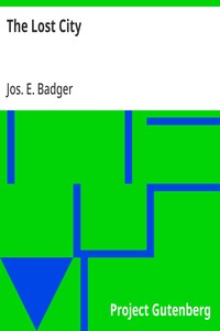 Cover of The Lost City by Jos. E. Badger